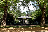 Hyde Park and Surrounding Area