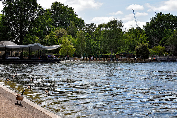 HydePark152