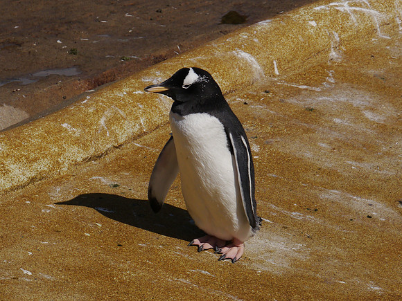 P1250129.JPG