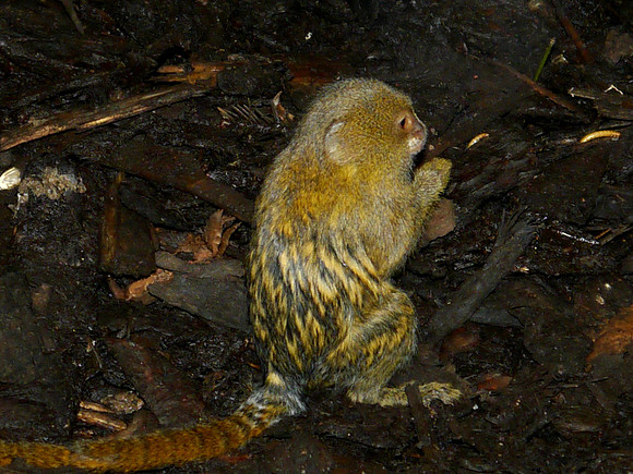 P1250667.JPG
