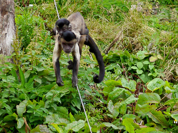 P1250730.JPG