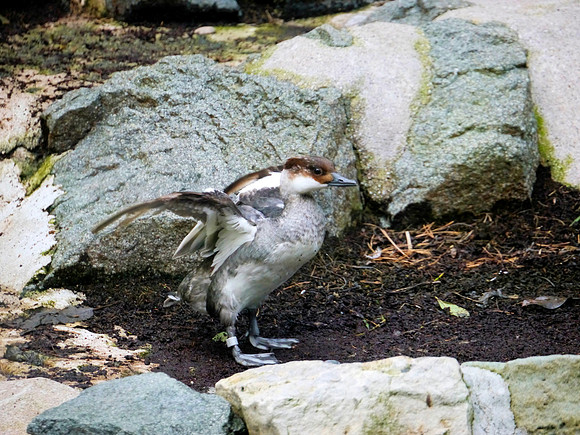 P1250516.JPG