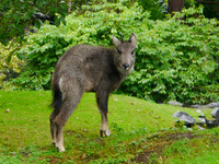 P1250045.JPG