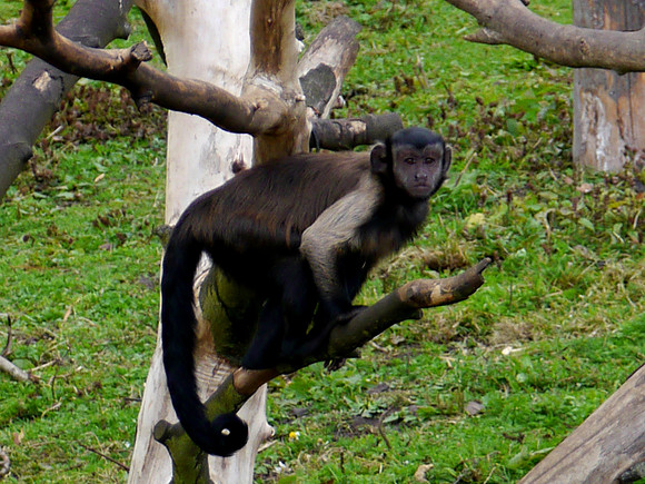 P1250710.JPG
