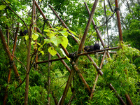 P1250039.JPG