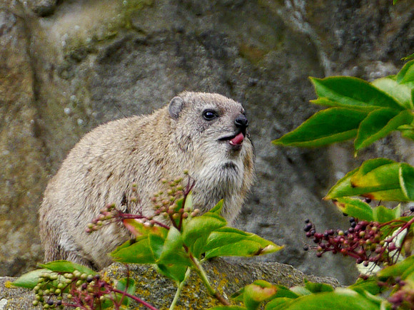 P1250275.JPG