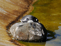 P1250085.JPG