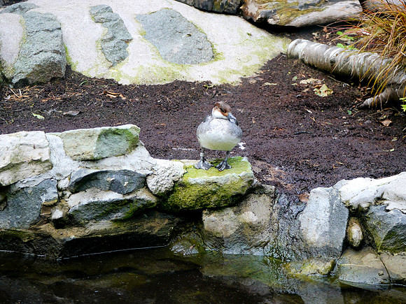 P1250519.JPG