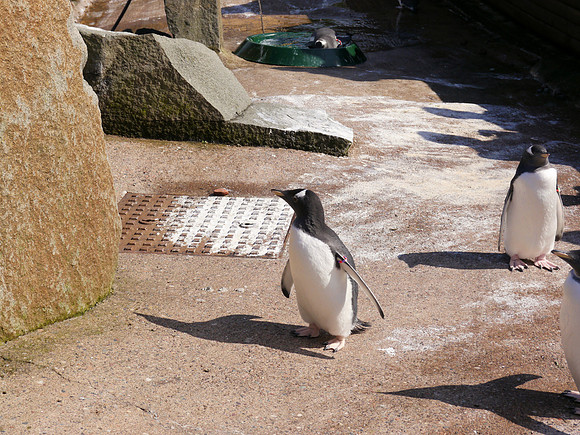 P1250155.JPG