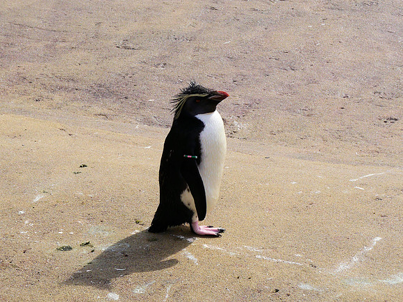P1250054.JPG