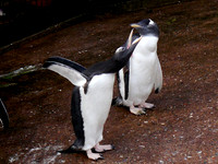 P1250066.JPG