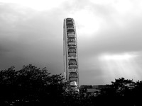 P1240517.JPG