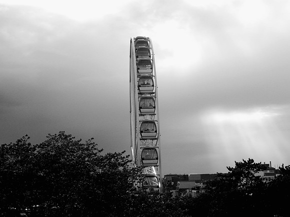 P1240517.JPG