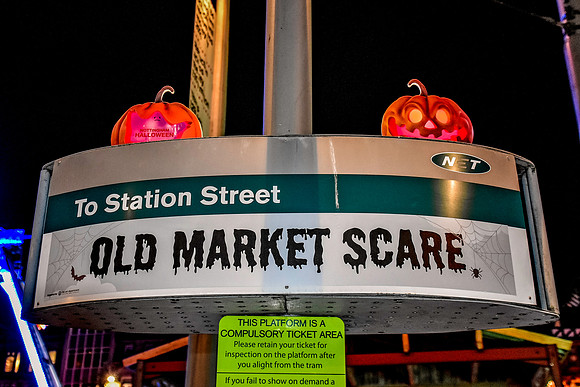 DSC_0451
