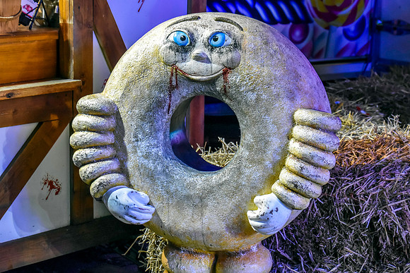 DSC_0541