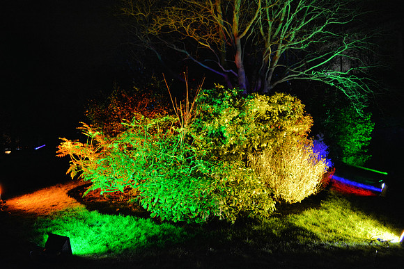 DSC_6273.JPG