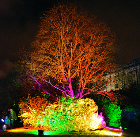 DSC_6268.JPG