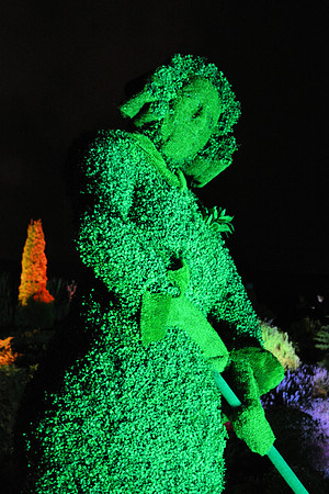 DSC_6254.JPG