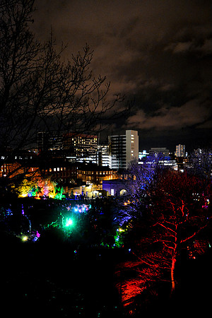 DSC_6319.JPG