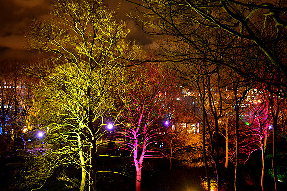 DSC_6308.JPG