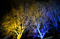 DSC_6201.JPG