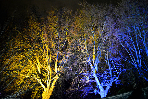 DSC_6201.JPG