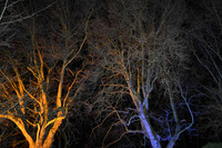DSC_6213.JPG