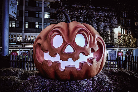 DSC_0631