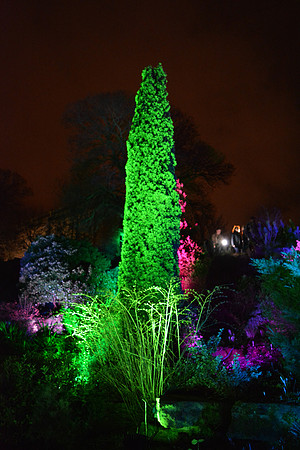 DSC_6250.JPG