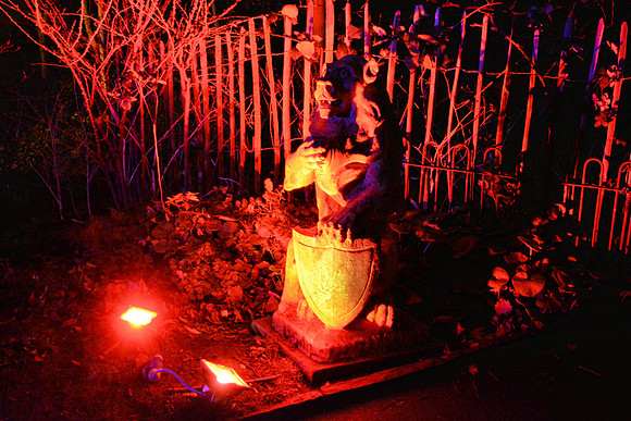 DSC_6305.JPG