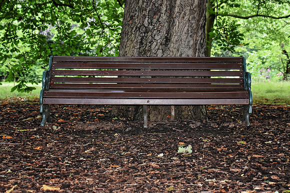 Buckingham Palace Gardens 128
