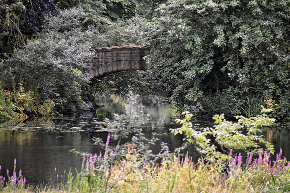 Buckingham Palace Gardens 129
