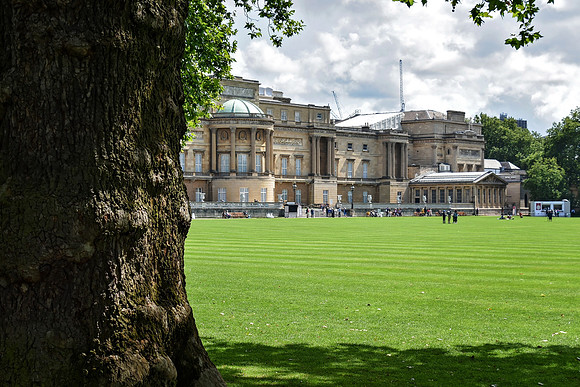 Buckingham Palace Gardens 131