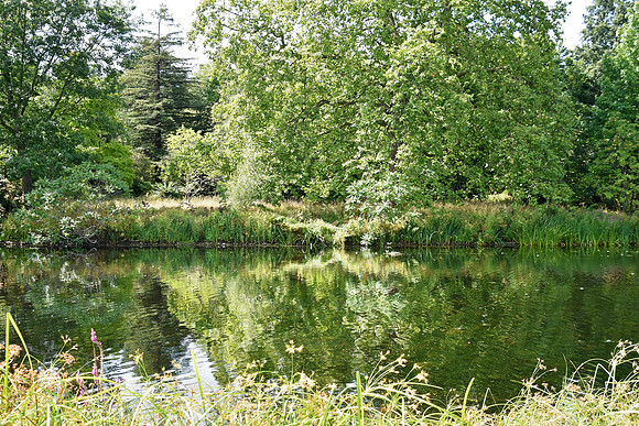 Buckingham Palace Gardens 133