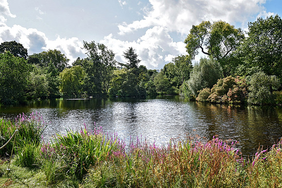Buckingham Palace Gardens 135