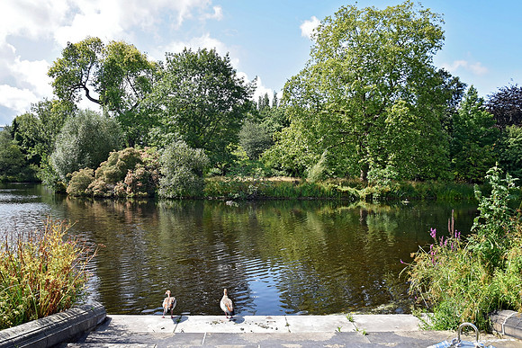 Buckingham Palace Gardens 137
