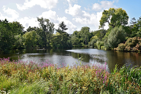Buckingham Palace Gardens 138