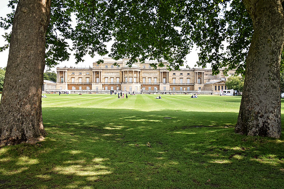 Buckingham Palace Gardens 139