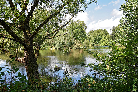 Buckingham Palace Gardens 140