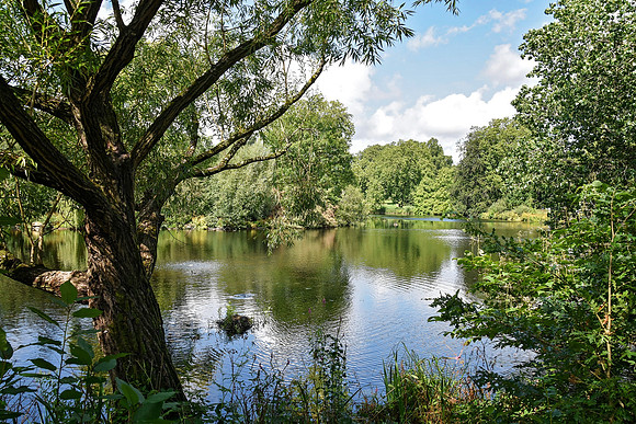 Buckingham Palace Gardens 141