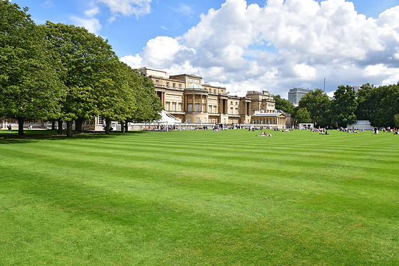 Buckingham Palace Gardens 153