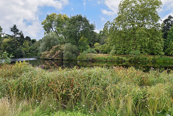 Buckingham Palace Gardens 159