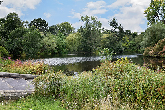 Buckingham Palace Gardens 160