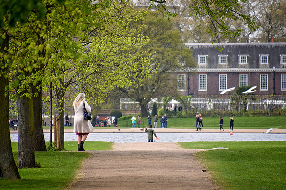 KensingtonPalaceandGardens133