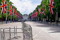 BuckinghamPalace&SurroundingArea100