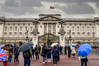 Buckingham Palace Area