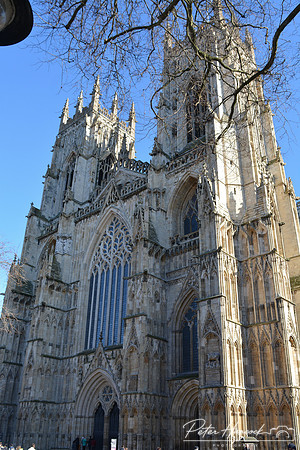 York Minster 100