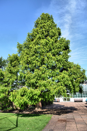 DSC_0778.JPG