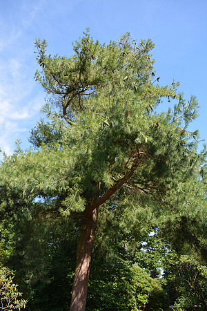 DSC_0587.JPG