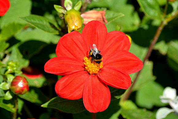 DSC_0865.JPG